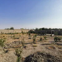 1250-متر-زمین-باغی-در-ملارد