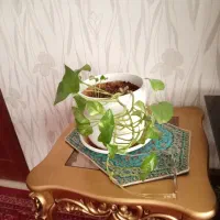 گلدان