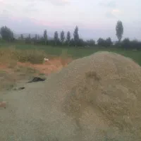 یونجه سوم برتمام سبزوجوان