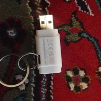 فلش گیگ