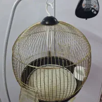 قفس پرنده   پایه دار گوشواره ای
