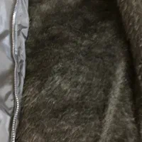 کاپشن|لباس|اصفهان, خلجا|دیوار