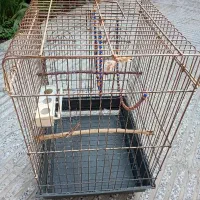 قفس پرنده