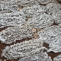 سمل به عمده فروشی 100هزار
