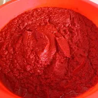 رب خانگی درجه یک