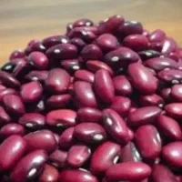 لوبیا قرمز قیمت۲۶۰۰۰۰تومان