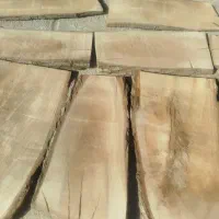 خرید چوب گردو