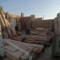 قالیشویی آریا ---- سرویس رایگان
