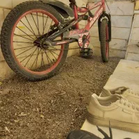 دوچرخه ۲۰|دوچرخه، اسکیت، اسکوتر|قم, چهل درخت‎|دیوار