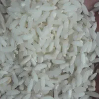 برنج لاشه هاشمی آستانه عنبربو طارم مازندران