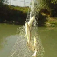 تور پرتابی