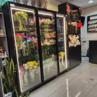 یخچال گل فروشی و گل طبیعی