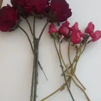 تعدادی وسیله
