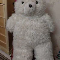 خرس بزرگ سفید