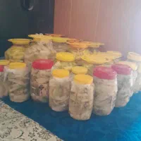ترشی بیلحر