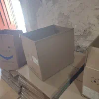کارتن سالم اساس کشی