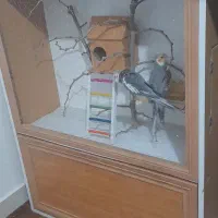 قفس|لوازم جانبی حیوانات|بیرجند, |دیوار