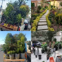 خدمات باغبانی باغچه کاری گلکاری تعویض خاک گلدون گل