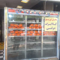 یخجال مرغی ۲ متری