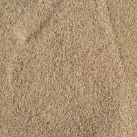 فروش 33 کیسه جو محلی بذری آبدانان