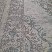 گلیم فرش|گلیم، جاجیم، گبه|اصفهان, مشکین|دیوار