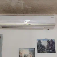 اسپلیت  گری ۳۰ پنل بزرگ تروپیکال