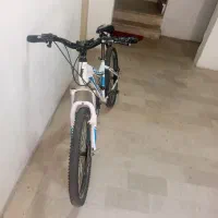 دوچرغه سایز 24