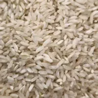برنج چمپا درجه یک بدون خورده