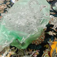 گیره و شاخک