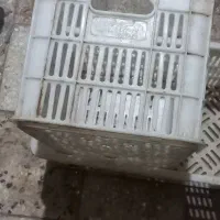 جعبه گوجه