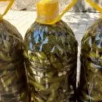 خیارشور ترد همدان