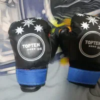 دستکش بوکس top ten حرفه ای