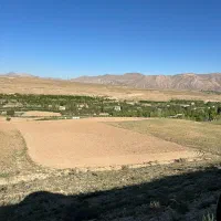 زمین. باغ