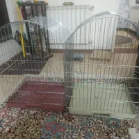دو عدد قفس طوطی