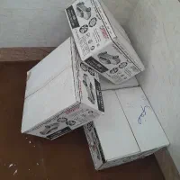 رینگ پنج پر