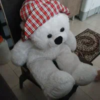 عروس خرس