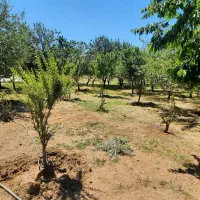 ویلا-باغ-4500-متری-داخل-طرح-هادی-روستای-حسین-آباد