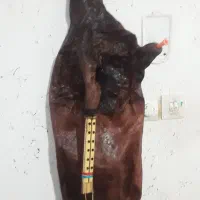نی انبون