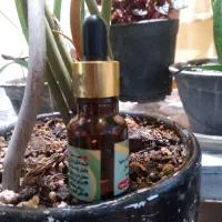 روغن انواع ماساژ