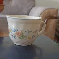 فنجان ارکوپال