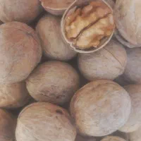 گردو.خشکبار.پسته.زعفران