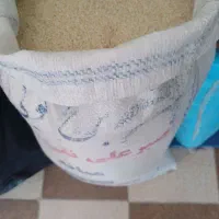 نیم دانه ممان