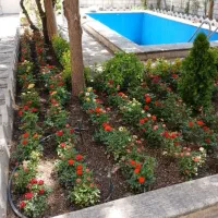 باغبانی سمپاشی چمن و هرسکاری تیلیر زنی کود دهی خاک