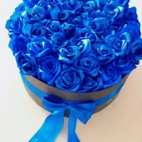 گل روبانی شاین دار