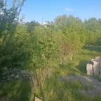 باغ