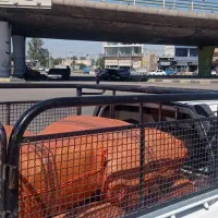 بار بری حسینی پراید وانت شهری واستانی