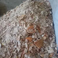 نان خشک