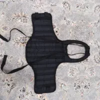 هوگو ورزشی