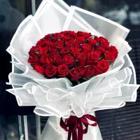 حواله ۲۰۷
