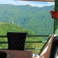 ویلای اجاره ای جنگلی گرین هوس